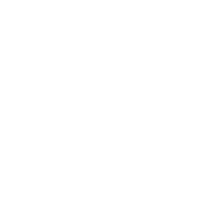 7. Budowa