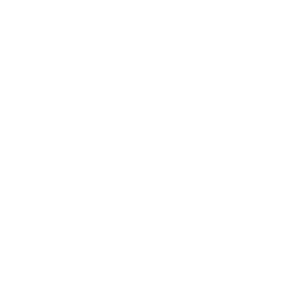 1. Projekt koncepcyjny